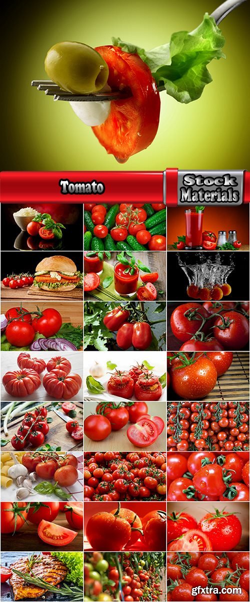 Tomato red vegetable vitamin plant 25 HQ Jpeg