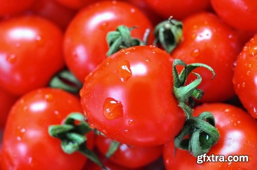 Tomato red vegetable vitamin plant 25 HQ Jpeg