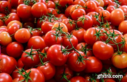 Tomato red vegetable vitamin plant 25 HQ Jpeg