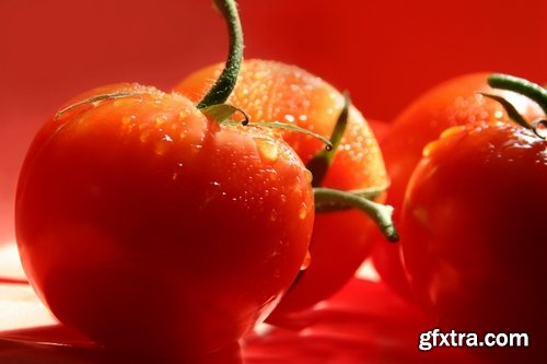 Tomato red vegetable vitamin plant 25 HQ Jpeg