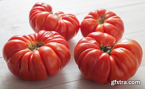 Tomato red vegetable vitamin plant 25 HQ Jpeg