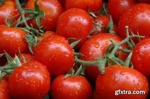 Tomato red vegetable vitamin plant 25 HQ Jpeg