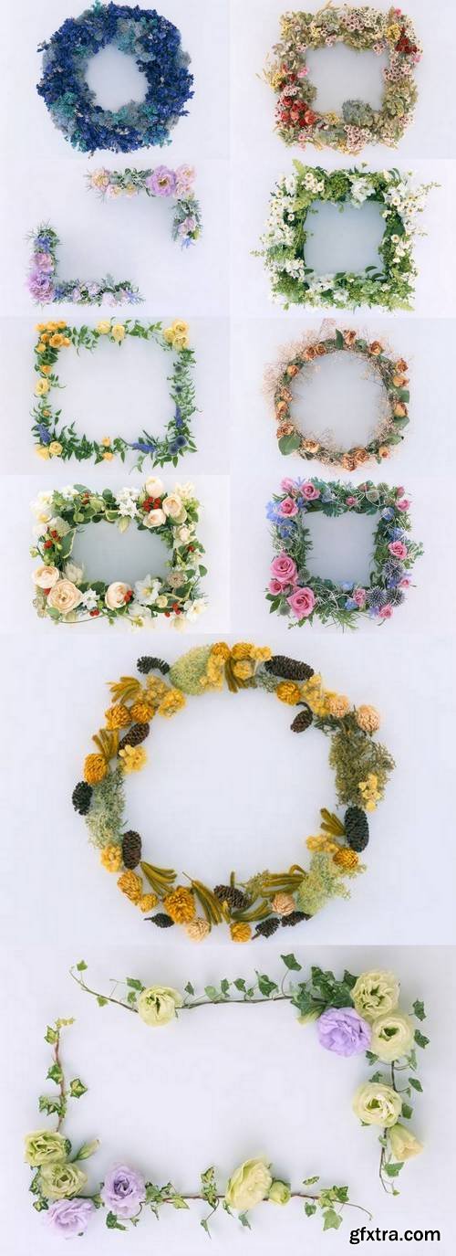 Elegant Vurves Flower Corners Isolated