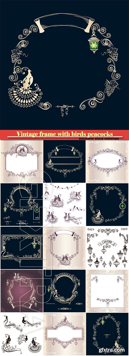 Vintage frame with birds peacocks