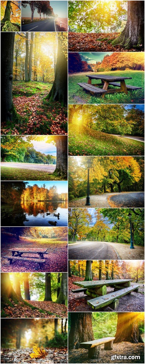 Lonely picnic place in autumn forest 15X JPEG