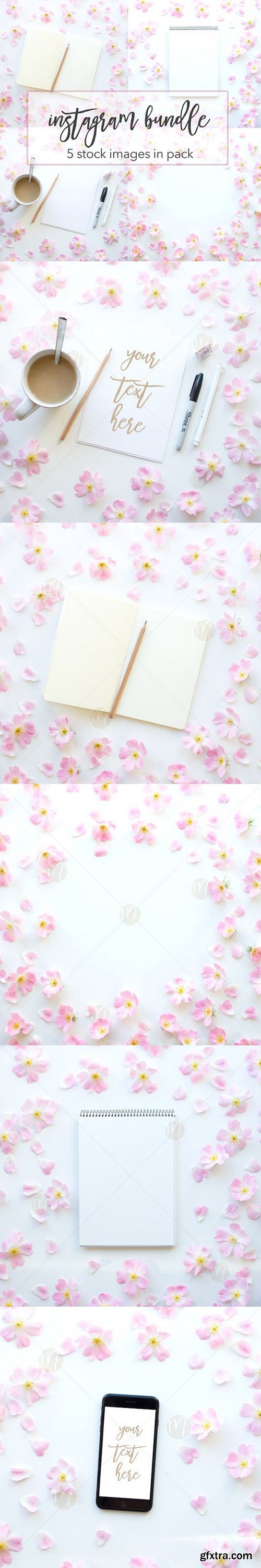 CM - Wildroses Instagram Bundle 1545618