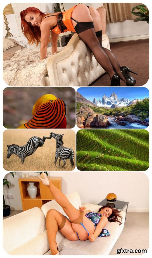 Beautiful Mixed Wallpapers Pack 459