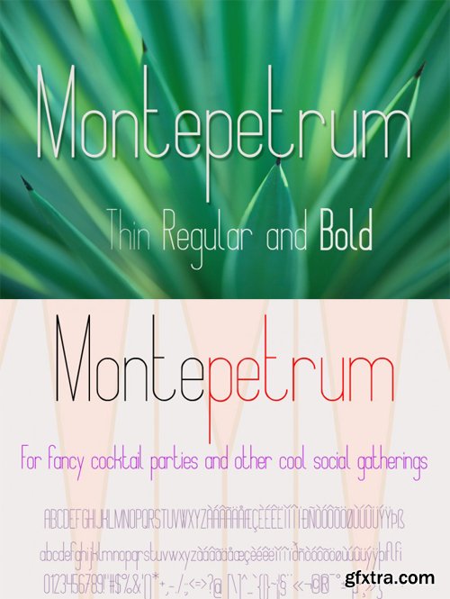 Montepetrum Font with 3 Weights