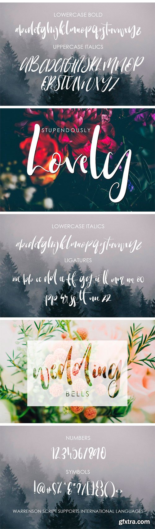 CM 1604975 - Warrenson Script Font