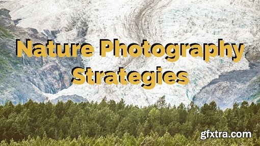 Nature Photography Strategies