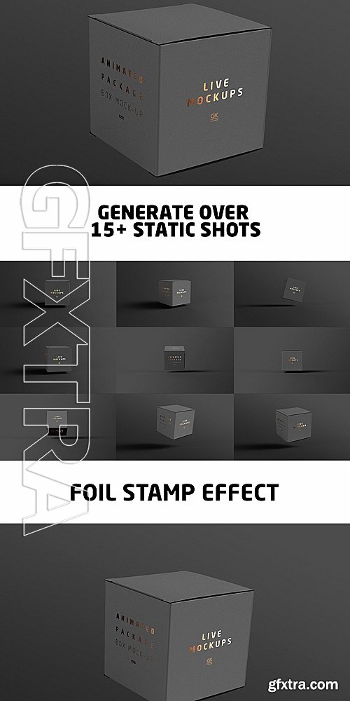 CreativeMarket Animated Box Mock-up 1415699