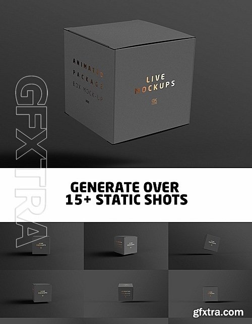 CreativeMarket Animated Box Mock-up 1415699