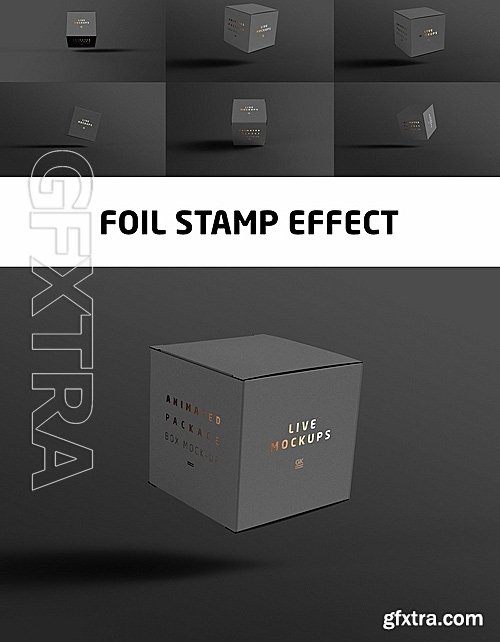 CreativeMarket Animated Box Mock-up 1415699