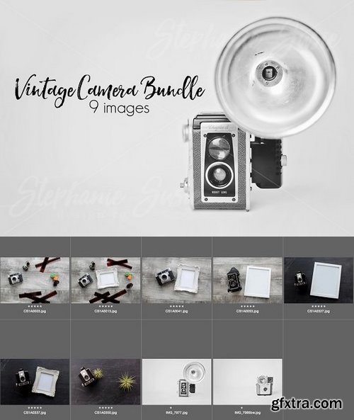 CM - Vintage Camera Mock Up Bundle 1309001