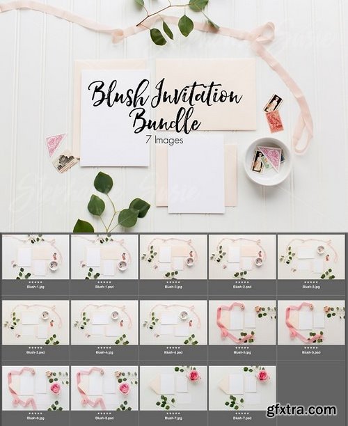 CM - Blush Invitation Lay Flat Bundle 1309017