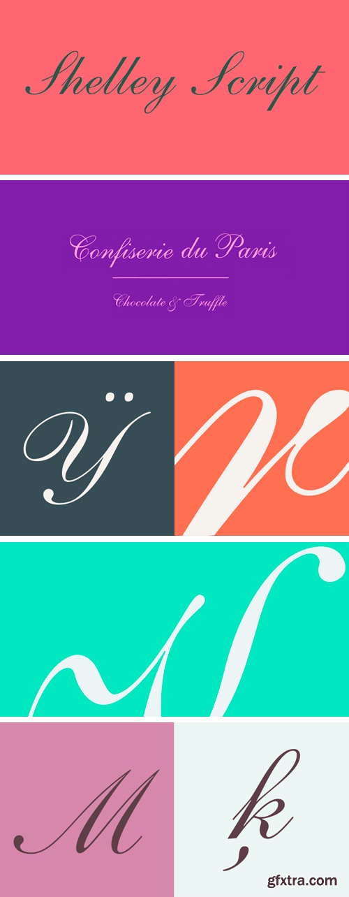 Shelley Script Font Family