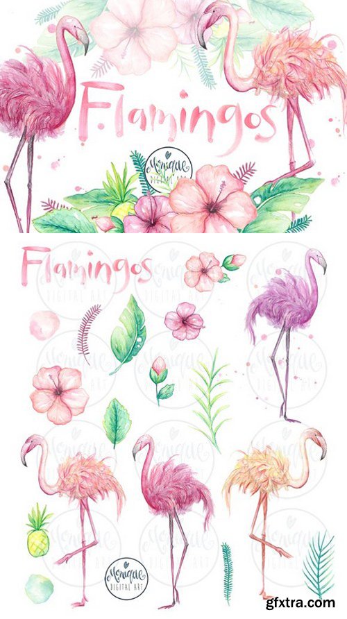 CM - Flamingo clipart, watercolor 1572835