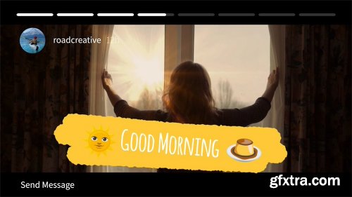 Videohive Instagram Story 20084293