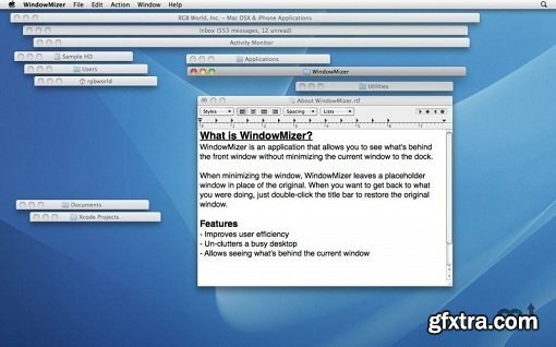 WindowMizer 4.4.1 (Mac OS X)