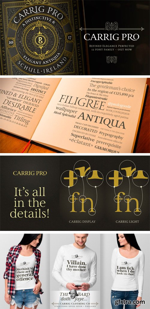 Carrig Pro Font Family