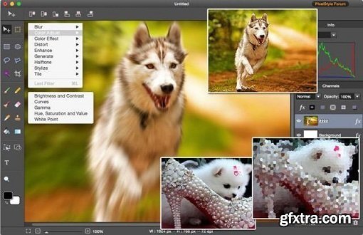 PixelStyle Photo Editor 2.95 (Mac OS X)