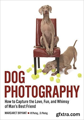 Dog Photography: How to Capture the Love, Fun, and Whimsy of Man\'s Best Friend