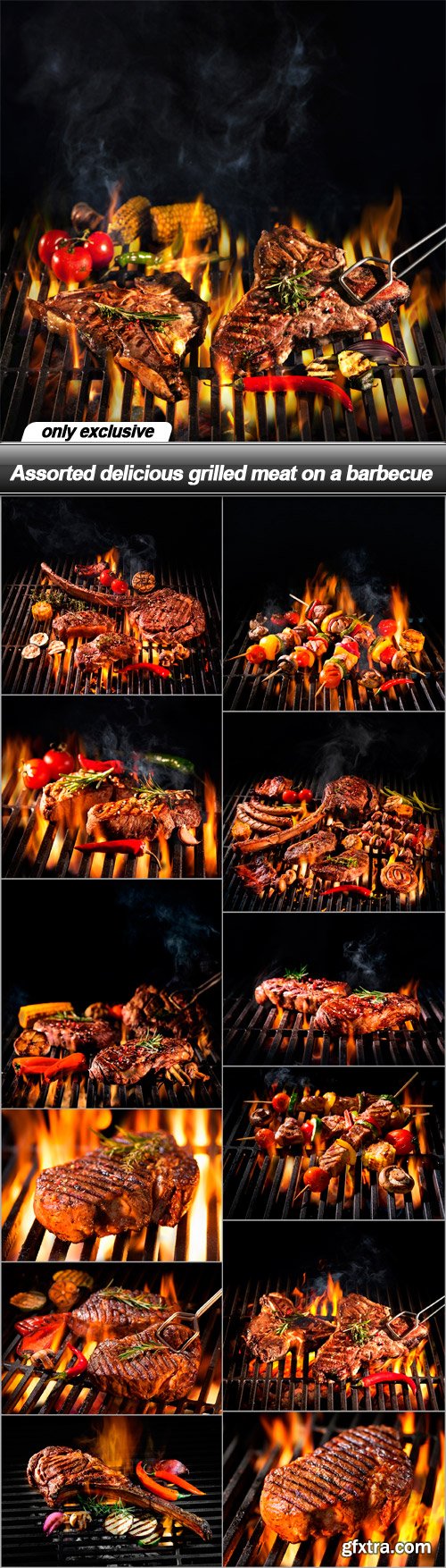 Assorted delicious grilled meat on a barbecue - 13 UHQ JPEG