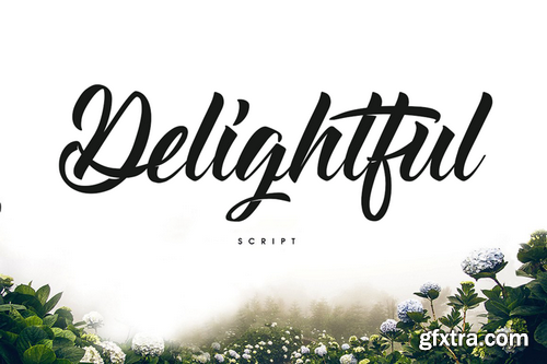 Delightful Script Font