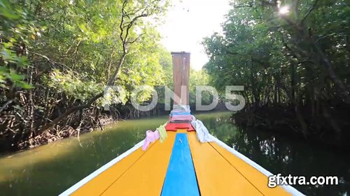 Longtail Boat Drives Mangrove Sea Front