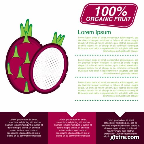 Infographics fruit vegetables advertising poster signboard 15 EPS