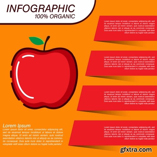 Infographics fruit vegetables advertising poster signboard 15 EPS