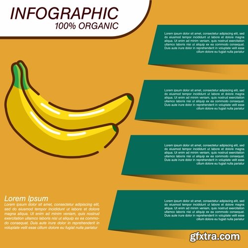 Infographics fruit vegetables advertising poster signboard 15 EPS