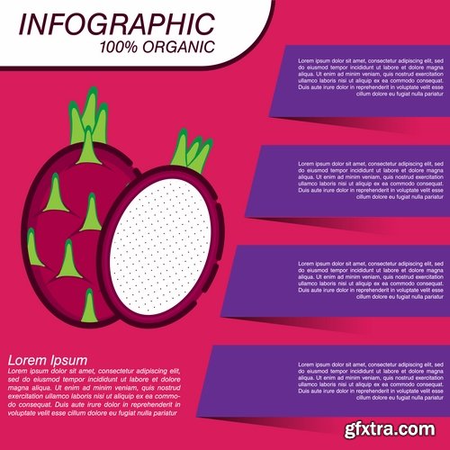 Infographics fruit vegetables advertising poster signboard 15 EPS