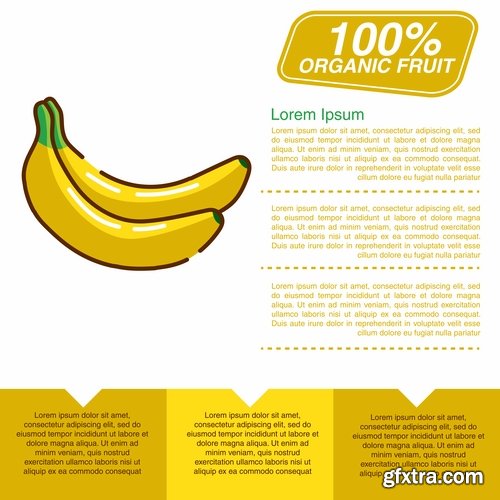 Infographics fruit vegetables advertising poster signboard 15 EPS