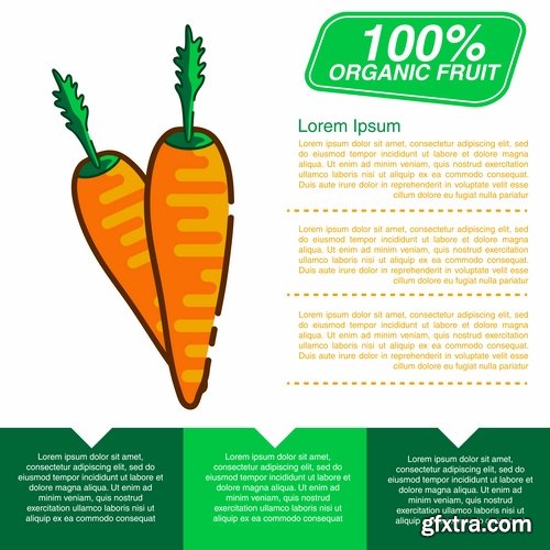 Infographics fruit vegetables advertising poster signboard 15 EPS