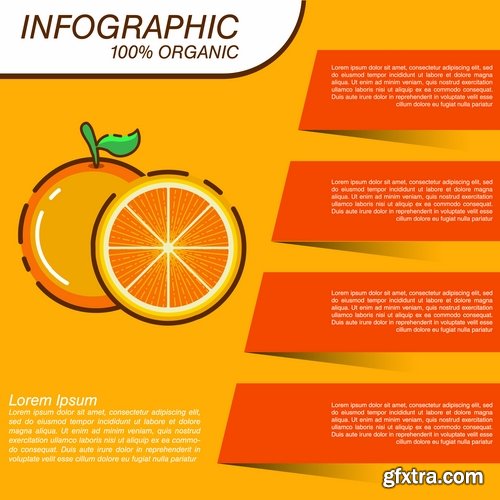 Infographics fruit vegetables advertising poster signboard 15 EPS