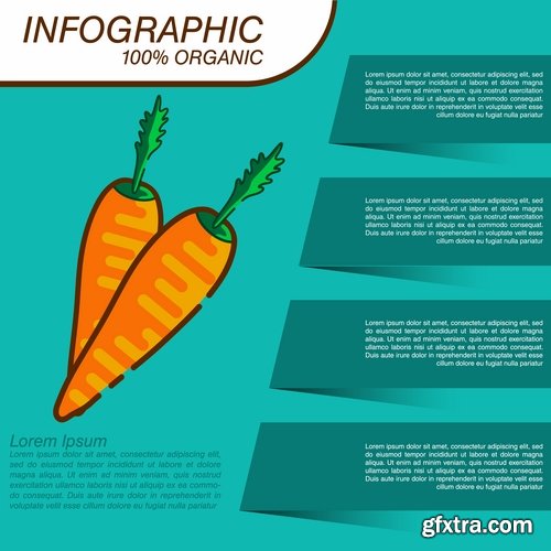 Infographics fruit vegetables advertising poster signboard 15 EPS