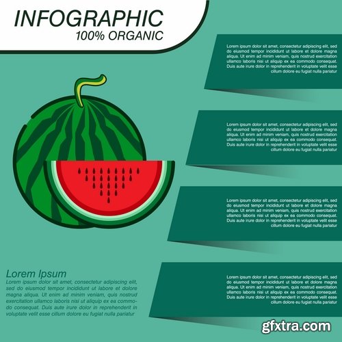 Infographics fruit vegetables advertising poster signboard 15 EPS