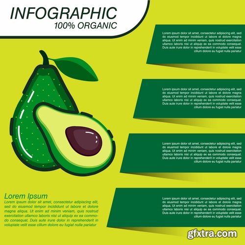 Infographics fruit vegetables advertising poster signboard 15 EPS