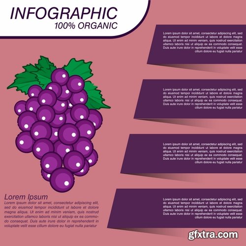 Infographics fruit vegetables advertising poster signboard 15 EPS