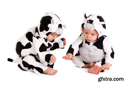 Two Babes in a Fancy Dress Cow Costume on White Background