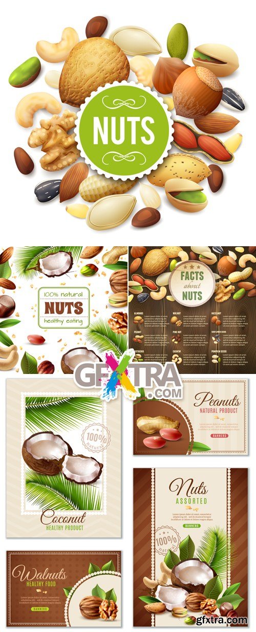 Nuts Banners & Backgrounds Vector