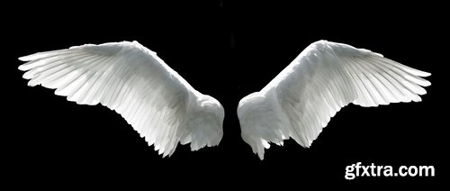 Angel wing wings mythical hero woman desktop wallpaper 25 HQ Jpeg