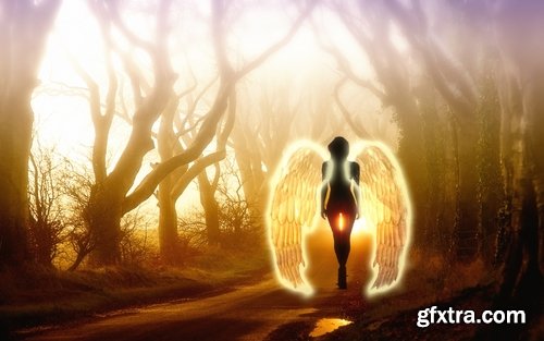 Angel wing wings mythical hero woman desktop wallpaper 25 HQ Jpeg