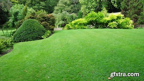 Landscape design plant garden grass lawn 18 HQ Jpeg