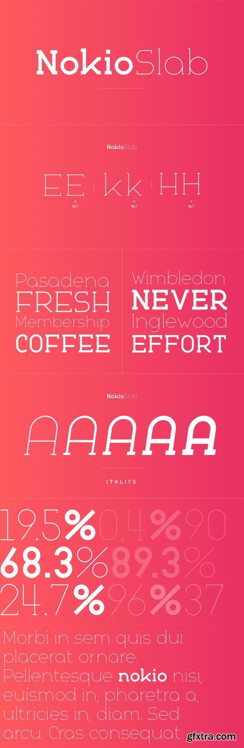 Nokio Slab Font Family $125