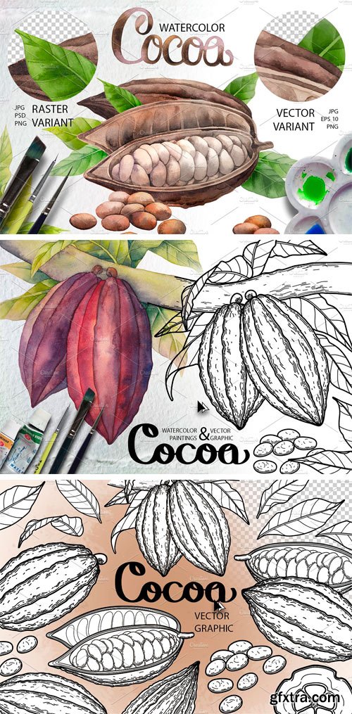 CM - Watercolor and Graphic Cocoa Plants 1641672