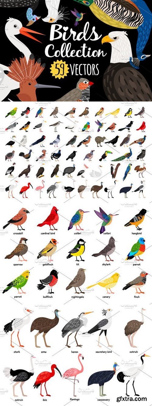 CM - Big set of Different Birds 1326689