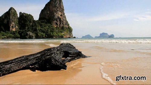 Beach log with a view