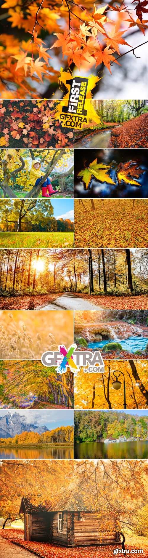 Stock Photo - Autumn 2017